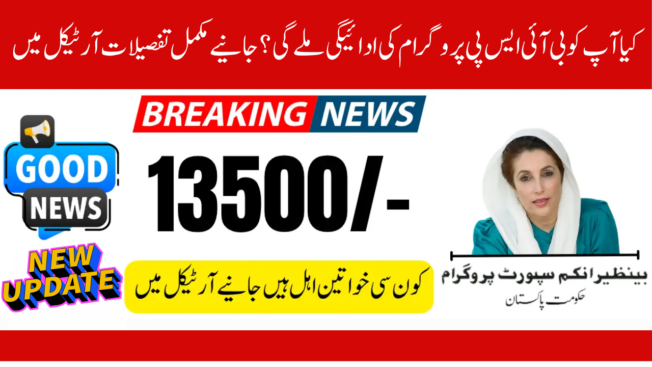CNIC's Online BISP 8171 Result Check Are You Qualified to Receive the Payment?