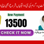 Payments for BISP Kafaalat August–September 2025 Begin—View Your Status Right Away!
